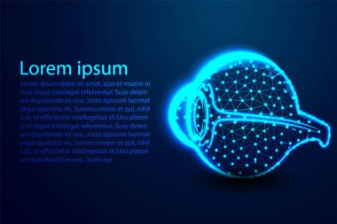 İnsan Gözü Işığı. Soyut Düşük Poli. Tel kafes tasarımı. Nokta ve çizgiyi bağlamaktan. Vektör İllüstrasyonu