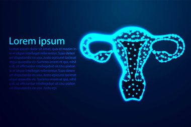 kadın üreme sistemi. İnsan anatomisi. Soyut Düşük Poli. Tel kafes tasarımı. Nokta ve çizgiyi bağlamaktan. Vektör İllüstrasyonu