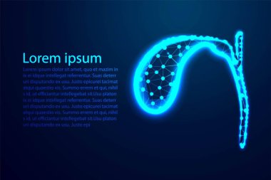 Safra kesesi, İnsan Anatomisi. Soyut Düşük Poli. Tel kafes tasarımı. Nokta ve çizgiyi bağlamaktan. Vektör İllüstrasyonu