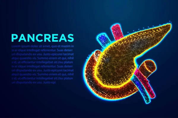 Páncreas, anatomía humana. Diseños abstractos de marco de alambre de polietileno bajo. De punto de conexión y línea. Ilustración vectorial — Archivo Imágenes Vectoriales