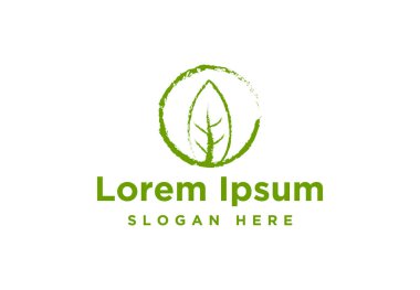 yeşil yaprak, ekoloji Logo İlham beyaz arka plan izole