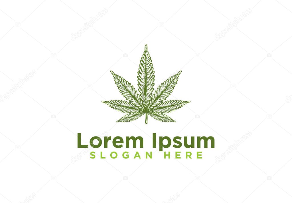 Hand Drawn Green maple cannabis Logo Designs Vector Illustration