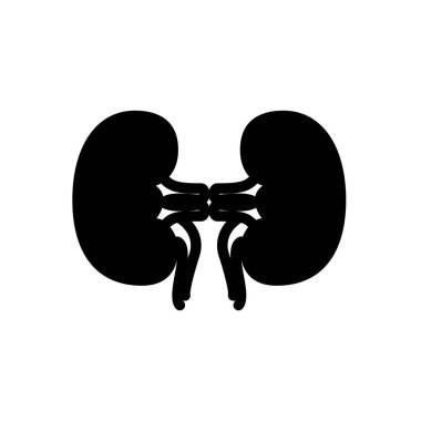 Böbrek sembolü düz siyah çizgi simgesi, Vektör İllüstrasyonu