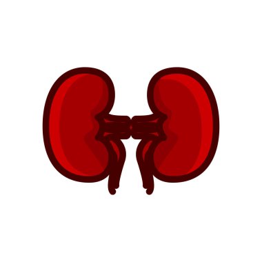 Böbrek kırmızı ikon vektör çizimi beyaz arkaplanda izole edildi