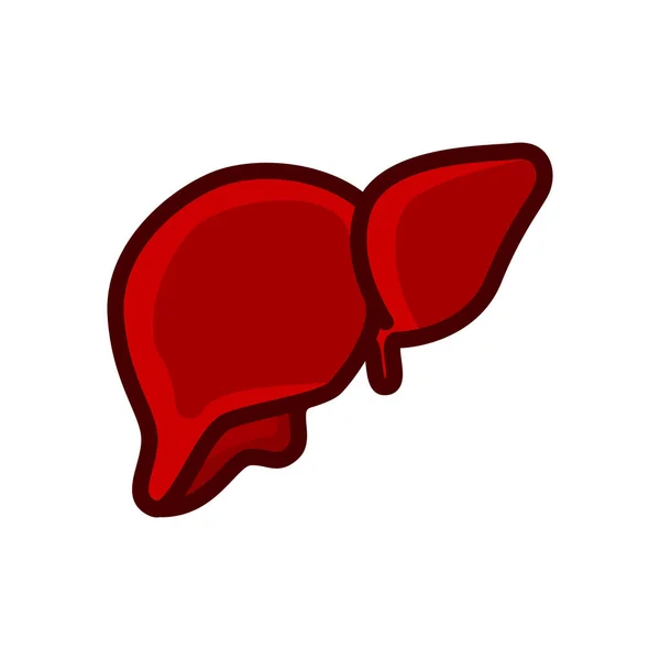 Illustrazione Del Vettore Dell Icona Rossa Del Fegato Isolata Sfondo — Vettoriale Stock