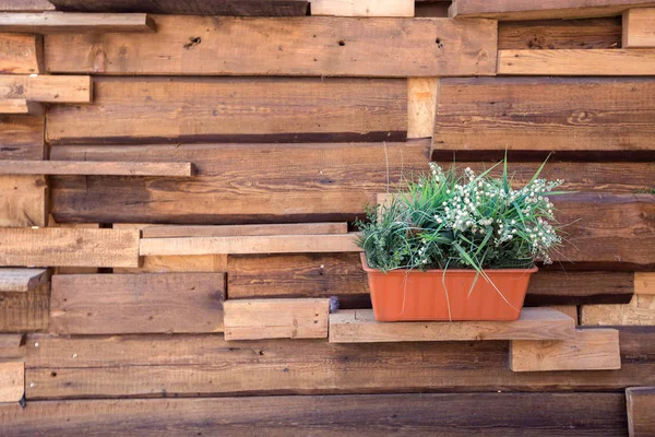 home with outdoor entertaining area, wooden furniture and plants