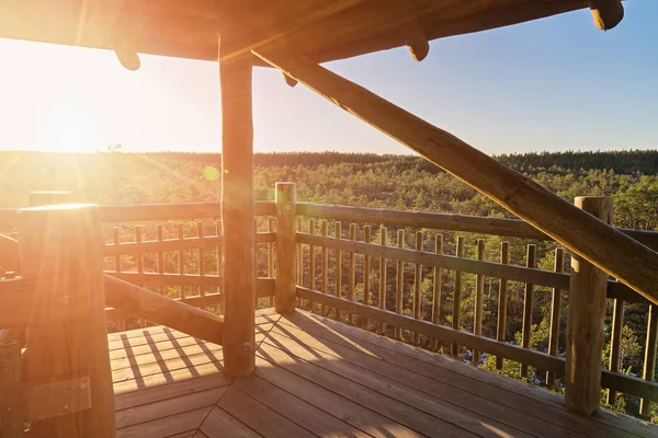 秋天松树林和观察塔的看法 日出的光芒 观景台高木观塔 — 图库照片
