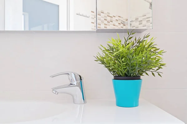 Projeto Banheiro Planta Fresca Interior Encanamento Azulejos Limpeza Casa Banho — Fotografia de Stock