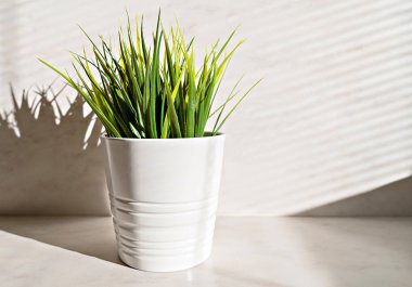 Güneş ışığı ve beyaz arka plan, yeşil güneş enerjisi kavramı üzerinde Avrupa elektrik prizine suni çim minimalist bileşimi