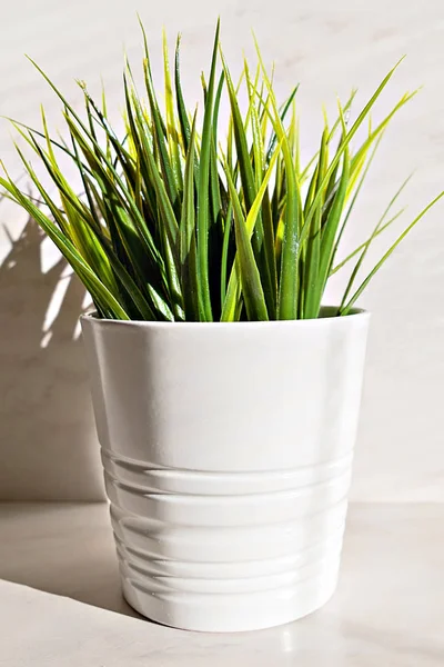 Güneş ışığı ve beyaz arka plan, yeşil güneş enerjisi kavramı üzerinde Avrupa elektrik prizine suni çim minimalist bileşimi