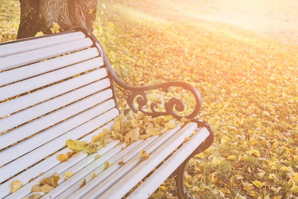 Vista Cerca Del Banco Vacío Vintage Parque Otoño Concepto Temporada — Foto de Stock