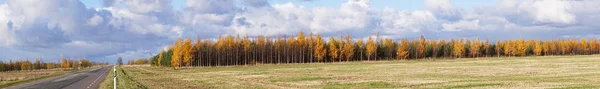 Panorama of autumn forest and cleaned field with cloudy sky and road goes into distance. Rural autumn scenic view