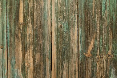 Vintage ahşap arka plan duvar yeşil boyalı