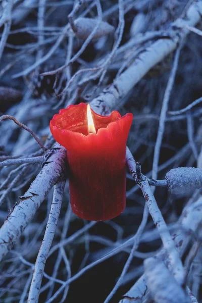 Vela Roja Encendida Ramas Viejo Árbol Bosque Místico Halloween Concepto — Foto de Stock