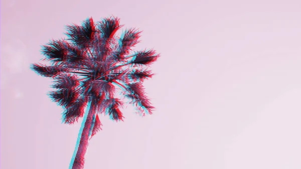 One palm tree on pink sky background — Stock Photo, Image