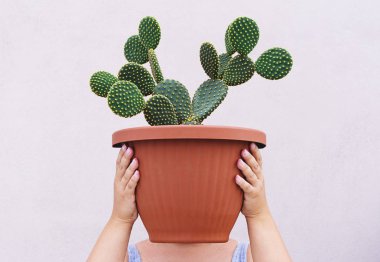 Woman is holding large red pot with Opuntia cactus at face level. Conceptual realism faceless portrait clipart
