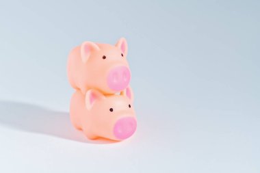 2019 sembolü olarak beyaz arka plan üzerinde iki sevimli küçük domuzcuk. Domuz, kopya alanı mutlu Çin yeni yılı 2019 semboldür