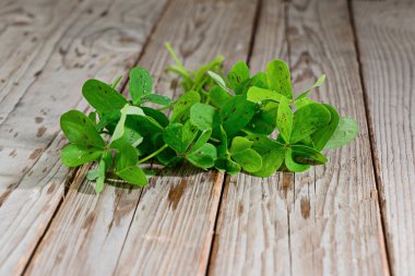 Rustik ahşap zemin üzerine taze yonca yaprağı