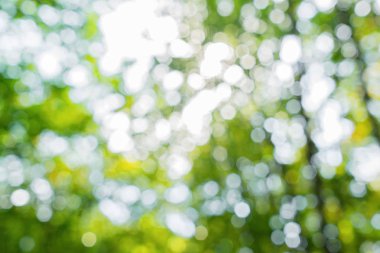 Doğal çiçek bulanık yaz deseni