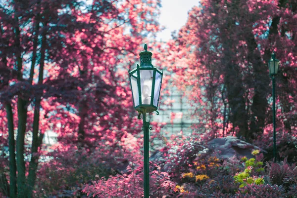 Colorful autumn garden with vintage lantern. Beautiful landscape.