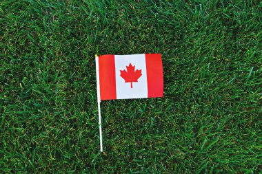 Yeşil çim arka planda Kanada bayrağı. Kanada günün kutlu olsun. 1 Temmuz Kanada 'nın ulusal bayramını Kanada' nın doğum günü olarak kutladı