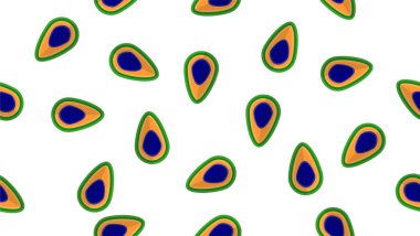 Vektör resim model renkleri Hindistan Peacock'da ile.