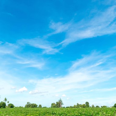 Bulutla mavi gökyüzü. Takas gün ve Iyi hava Mornin içinde