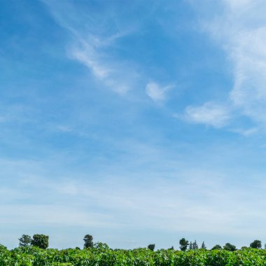 Bulutla mavi gökyüzü. Takas gün ve Iyi hava Mornin içinde
