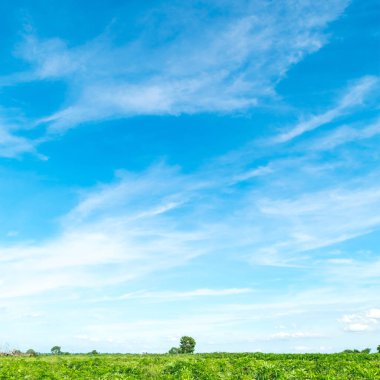 Bulutla mavi gökyüzü. Takas gün ve Iyi hava Mornin içinde