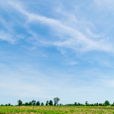Bulutla mavi gökyüzü. Takas gün ve Iyi hava Mornin içinde