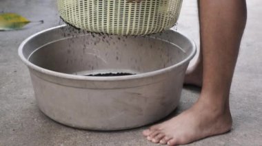 Bitki yetiştirmek için toprak hazırlığı. Çamur toprağı DIY dönüş ve titreşim makinesine göre ayrıştırılıyor.