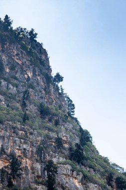 Türkiye'den dağ yaz manzarası