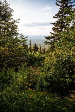 Adirondack Dağları Beyaz Surat 'tan Görünüm