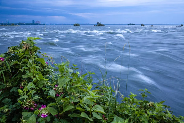 Blumen an den Stromschnellen des Saint-Lawrence in Montreal — Stockfoto