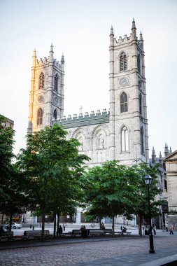 Montreal 'deki Basilique de Notre Dame