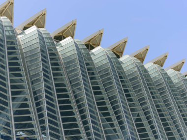 Valencia 'nın bilim ve sanat şehri: Eşsiz bir geometriye sahip fütürist binalar