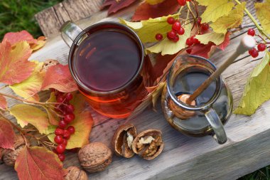 Cam bardakta sıcak bitkisel çay, karabuğday balı, cevizli taze elmalar ve kırsal güvertede viburnum çilekleri. Sonbahar sakin bir hayat.