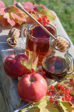 Üst taraf sıcak bitkisel çay ve karabuğday balı ve cevizli taze elmalar ve kırsal güvertede viburnum üzümü. Sonbahar sakin bir hayat.
