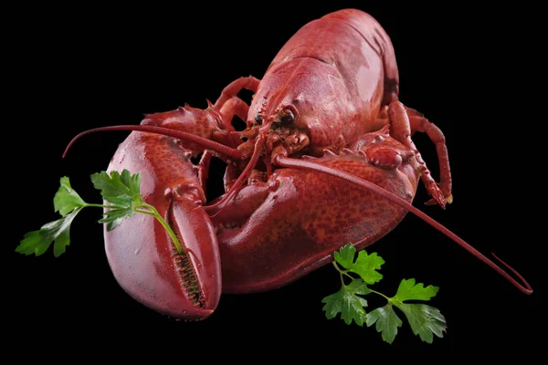 色泽鲜绿的欧芹色拉 色泽柔和 背景为黑色 味道鲜美的红龙虾刚刚煮熟 — 图库照片