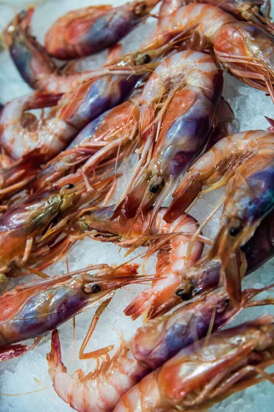 新鮮な 生のエビ 食べ物の背景のための氷の上のタバコとエビ 選択フォーカスで写真を閉じます — ストック写真