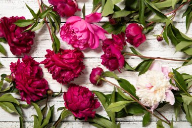 Ahşap arka planda şakayıklar. Metin için yer