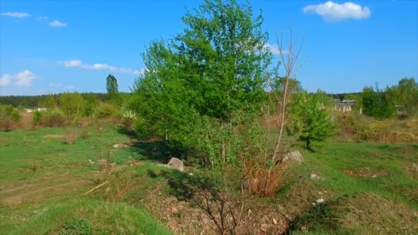 Quadrocopter shooting, panoramica della natura — Video Stock