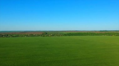 sınırsız yeşil pirinç alan resimsel hills tarafından uzak köy karşı