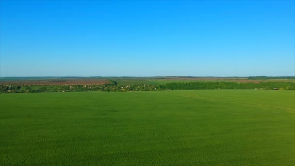 Campo di riso verde sconfinato contro villaggio lontano da colline pittoresche — Video Stock