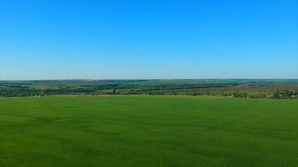 Безмежне зелене рисове поле проти далекого села на мальовничих пагорбах — стокове відео