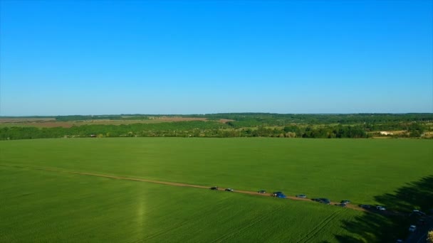 Безграничное зеленое рисовое поле против далёкой деревни живописными холмами — стоковое видео