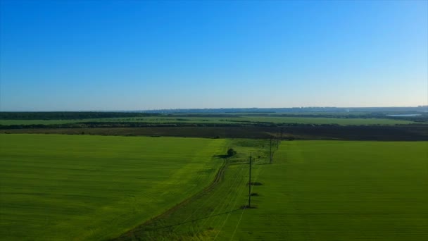 Campo di riso verde sconfinato contro villaggio lontano da colline pittoresche — Video Stock