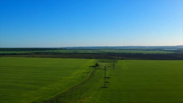 Campo de arroz verde ilimitado contra aldeia distante por colinas pictóricas — Vídeo de Stock