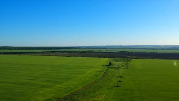 Sınırsız yeşil pirinç alan resimsel hills tarafından uzak köy karşı — Stok video