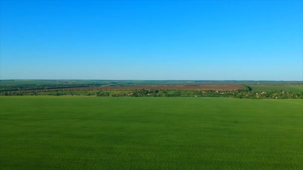 Campo de arroz verde ilimitado contra pueblo distante por colinas pictóricas — Vídeos de Stock